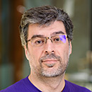 Luís Amaral