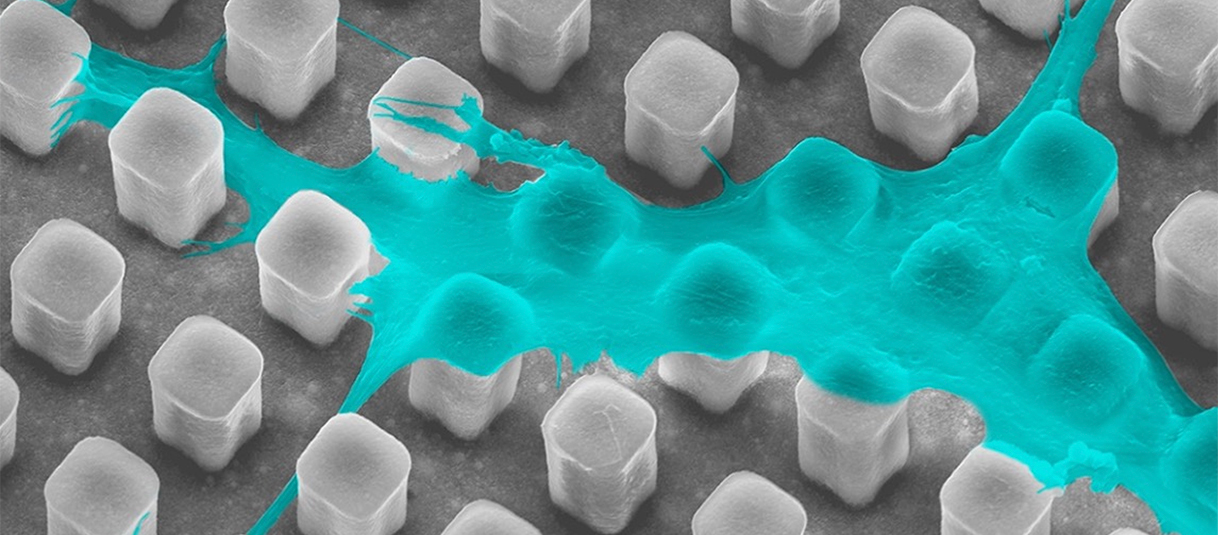 Cell control graphic
