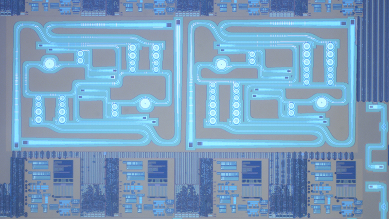 A close-up image of the chip. Because the chip uses built-in feedback to stabilize itself, it behaves predictably despite temperature changes and fabrication variations — an essential requirement for scaling up quantum systems. It also bypasses the need for large external equipment.
