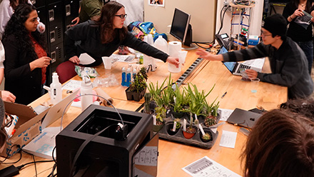 Cultivating Data-Driven Approaches with Plant Science
