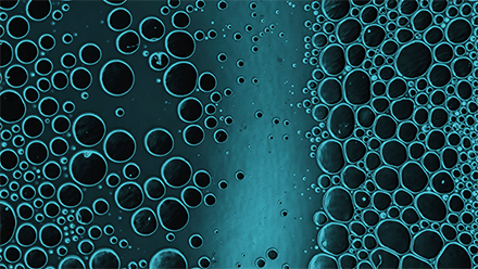 Close-up of bubbles or droplets resembling  biological fluid under magnification
