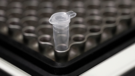 Test tube in holder