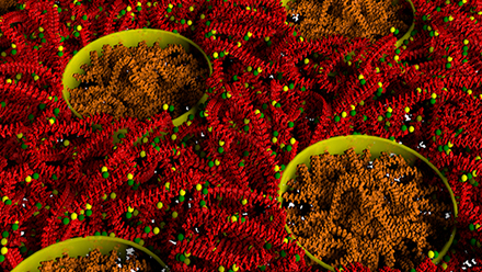 3-D illustration of molecular structures
