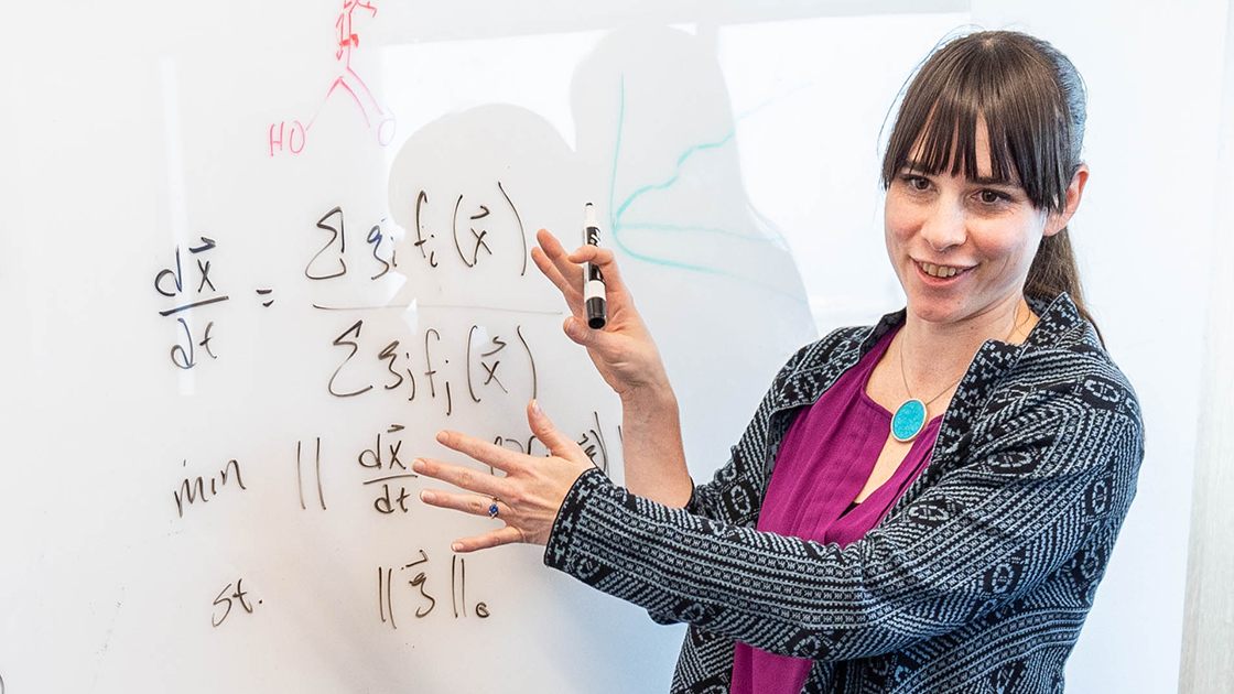  Niall Mangan, Assistant Professor of Engineering Sciences and Applied Mathematics | Northwestern University